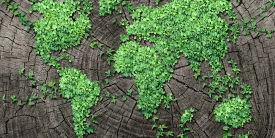 Environmental Justice- Update