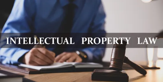 Navigating IPR Discretionary Denial White Waters with Examiner Error: A Practitioner's Guide