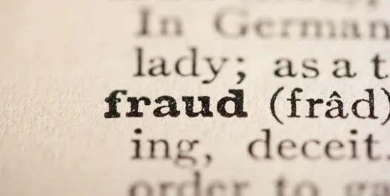 One Fraud Division, Many Enforcement Questions: What DOJ's National Fraud Enforcement Division..