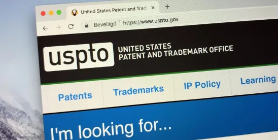 USPTO Adopts Flexible Approach to Markush Group Language