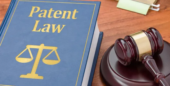 Federal Circuit's Ridge Decision Shows Why Patent Injunctions Turn on Claim Scope and Market Proof