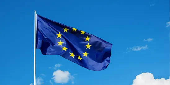 European Commission Pay Transparency Directive FAQs Leave Some Issues Unaddressed