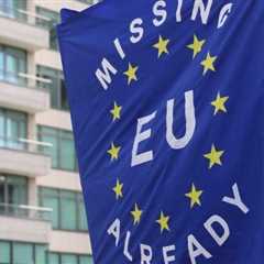 Downing Street gathers evidence on rejoining EU as Macron says “welcome back”