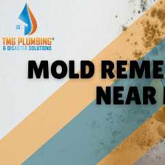 Mold Remediation Near Me