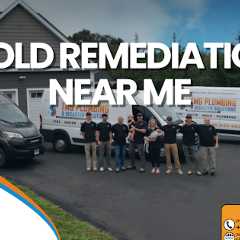 Mold Remediation Near Me
