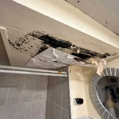 Mold Testing &amp; Mold Inspection Brookhaven, NY
