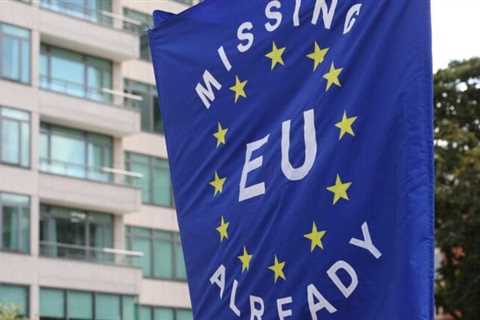 Downing Street gathers evidence on rejoining EU as Macron says “welcome back”