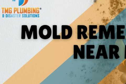 Mold Remediation Near Me