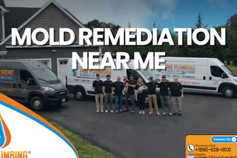 Mold Remediation Near Me · Tuesday, Sep 8 📸