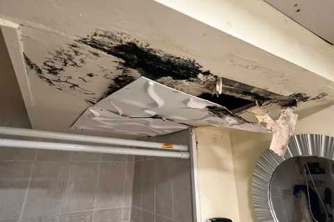 Mold Testing &amp; Mold Inspection Brookhaven, NY